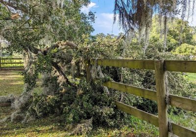 Info Conso le 15 02 2026