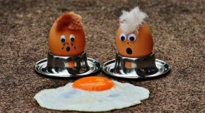 Info Conso le 23 02 2026