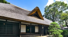 Info Conso le 06 04 2026