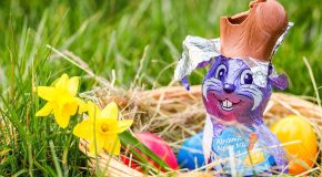 Info Conso le 04 04 2026