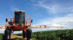 Info Conso le 16 04 2026